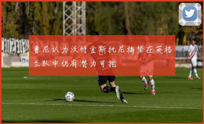 鲁尼认为沃特金斯托尼梅努在英格兰队中仍有潜力可挖