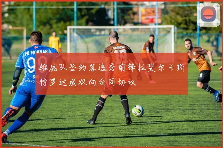 雄鹿队签约落选秀前锋拉斐尔卡斯特罗达成双向合同协议